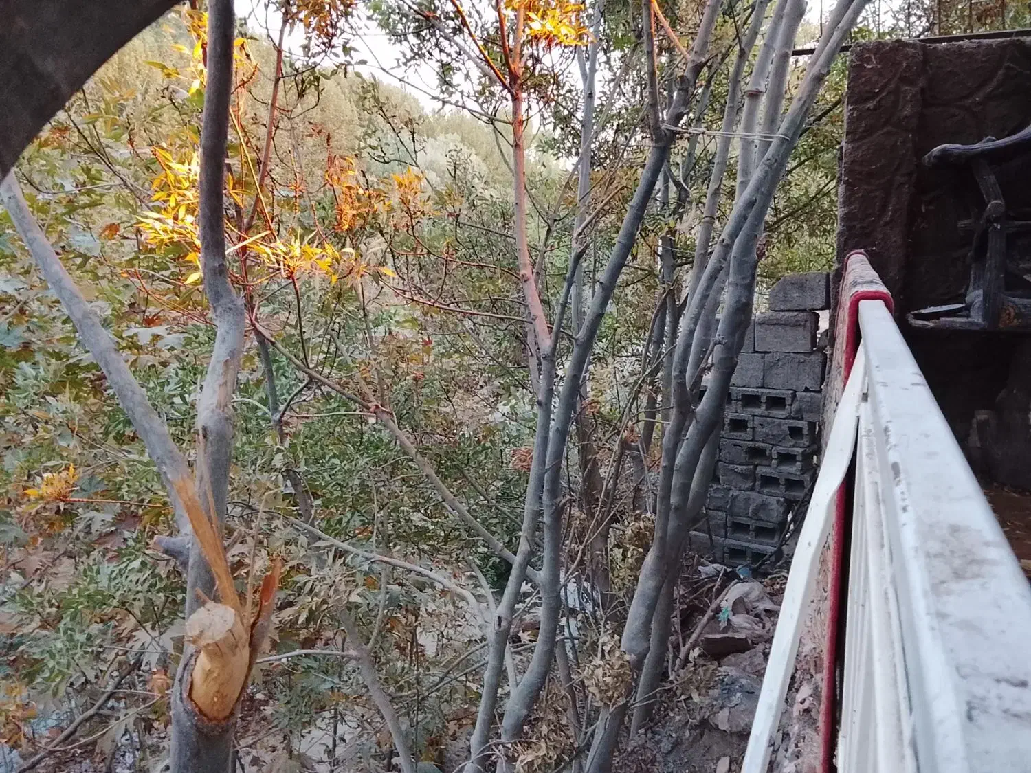 سویت نقلی لب آب باغبهادران.فوری.فوری.|اجارهٔ خانه و ویلا|باغ بهادران, |دیوار