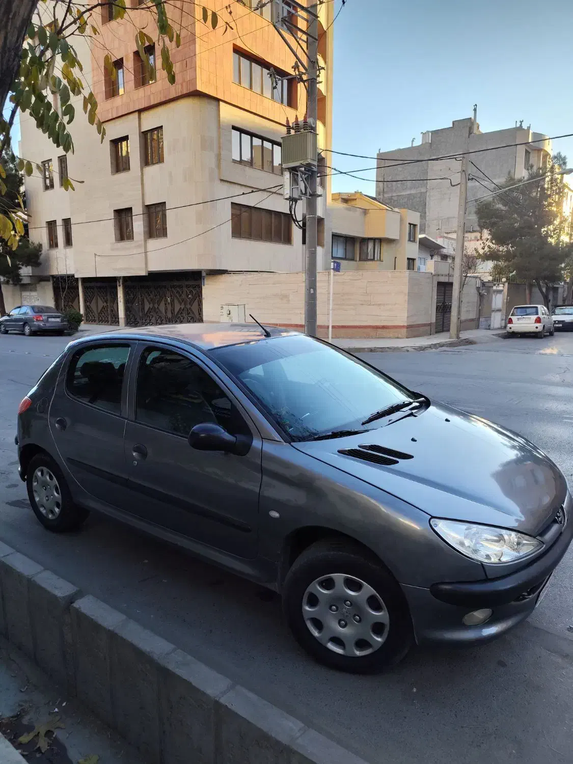 پژو ۲۰۶|خودرو سواری و وانت|مشهد, تربیت (صدف)|دیوار