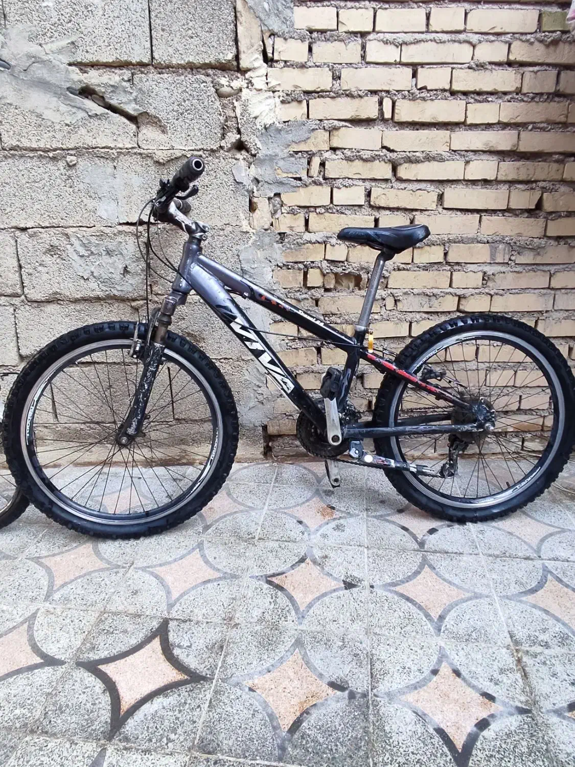 دوچرخه ویوا|دوچرخه، اسکیت، اسکوتر|دزفول, |دیوار