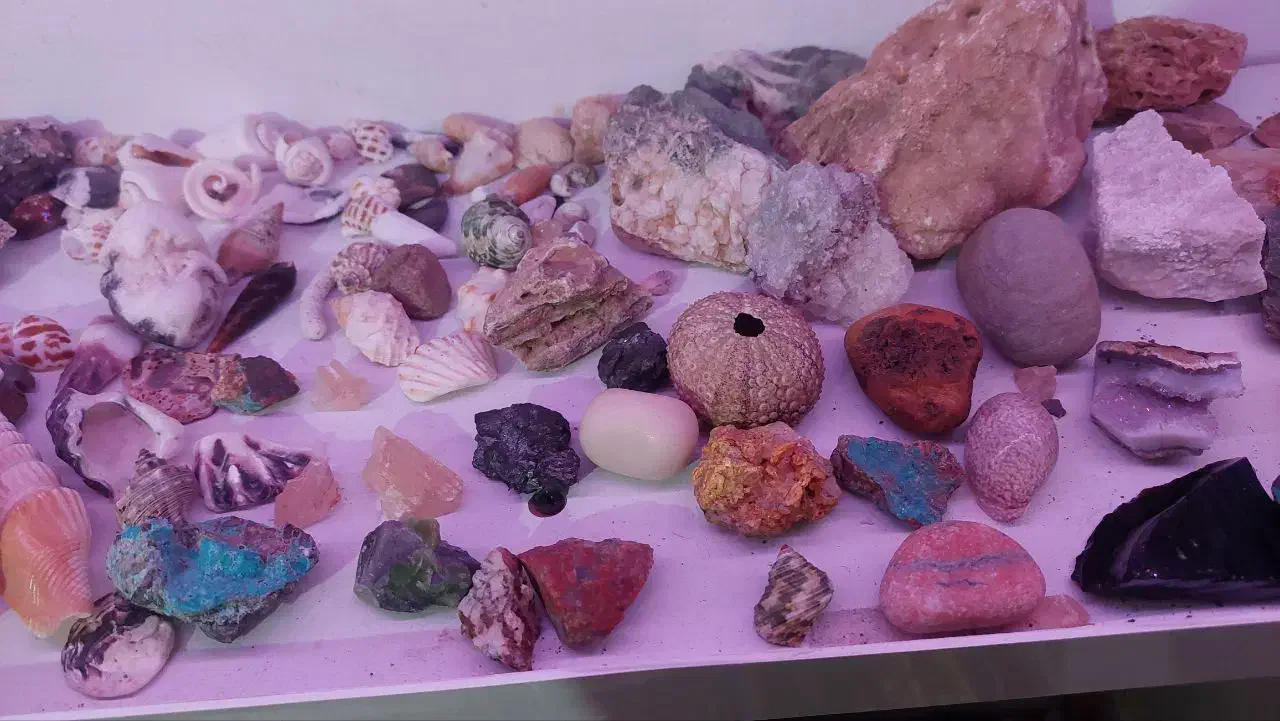 مجموعه سنگ کلکسیونی|کلکسیون اشیاء عتیقه|سنندج, |دیوار