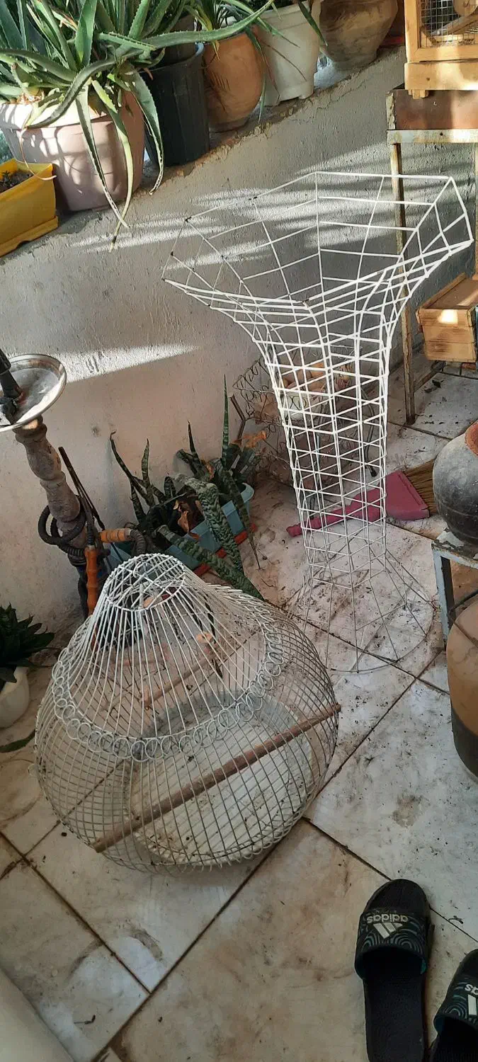 قفس پرنده|لوازم جانبی حیوانات|تهران, افسریه شمالی|دیوار