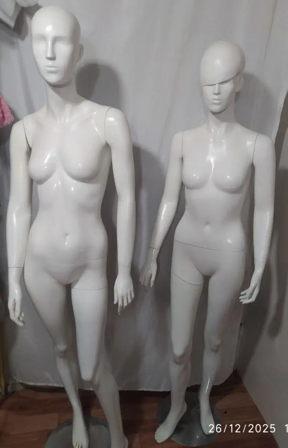 مانکن|فروشگاه و مغازه|نقده, |دیوار