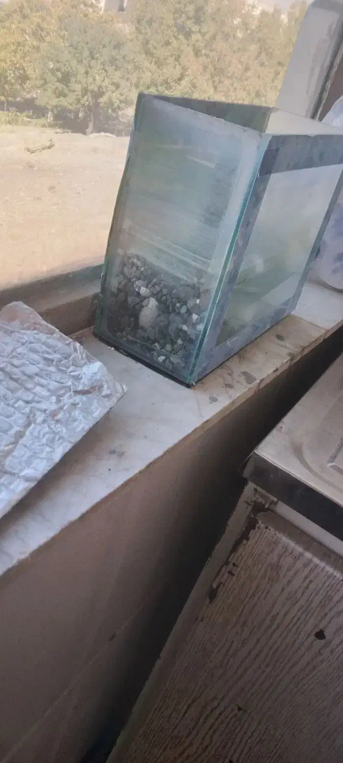 آکواریوم|لوازم جانبی حیوانات|محمدیه-قزوین, |دیوار