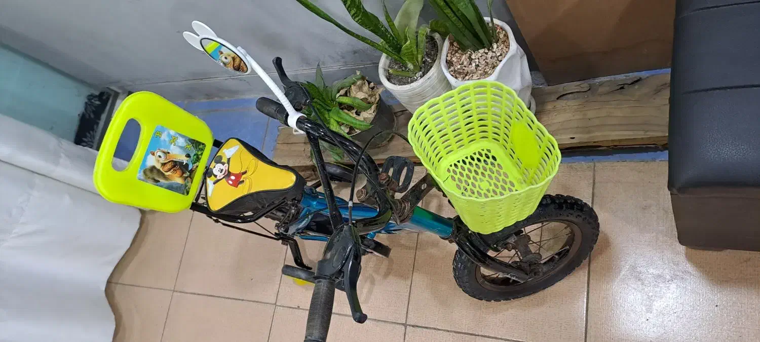 دوچرخه سایز ۱۲|دوچرخه، اسکیت، اسکوتر|کاشمر, |دیوار