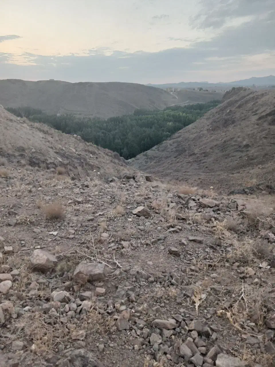 زمین ویلایی مدیسه ،باغشاد|فروش زمین و ملک کلنگی|فولادشهر, مدیسه|دیوار