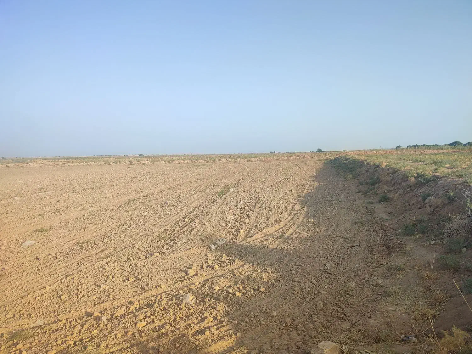 زمین کشاورزی درجه یک|فروش دفتر صنعتی، کشاورزی، تجاری|سوسنگرد, |دیوار