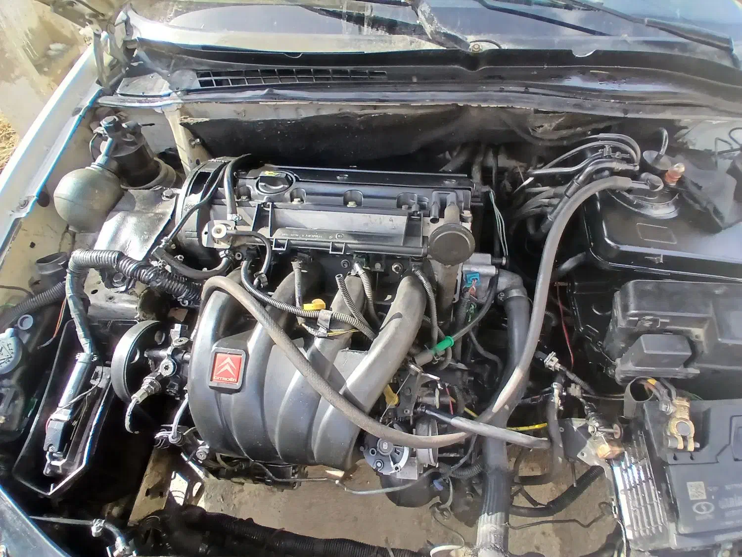 زانتیا مدل 80دوره رنگ|خودرو سواری و وانت|سلماس, |دیوار