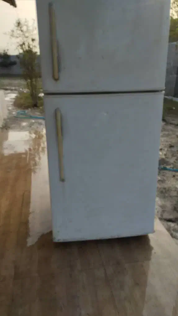 یخچال فریزر|یخچال و فریزر|رودبنه, |دیوار