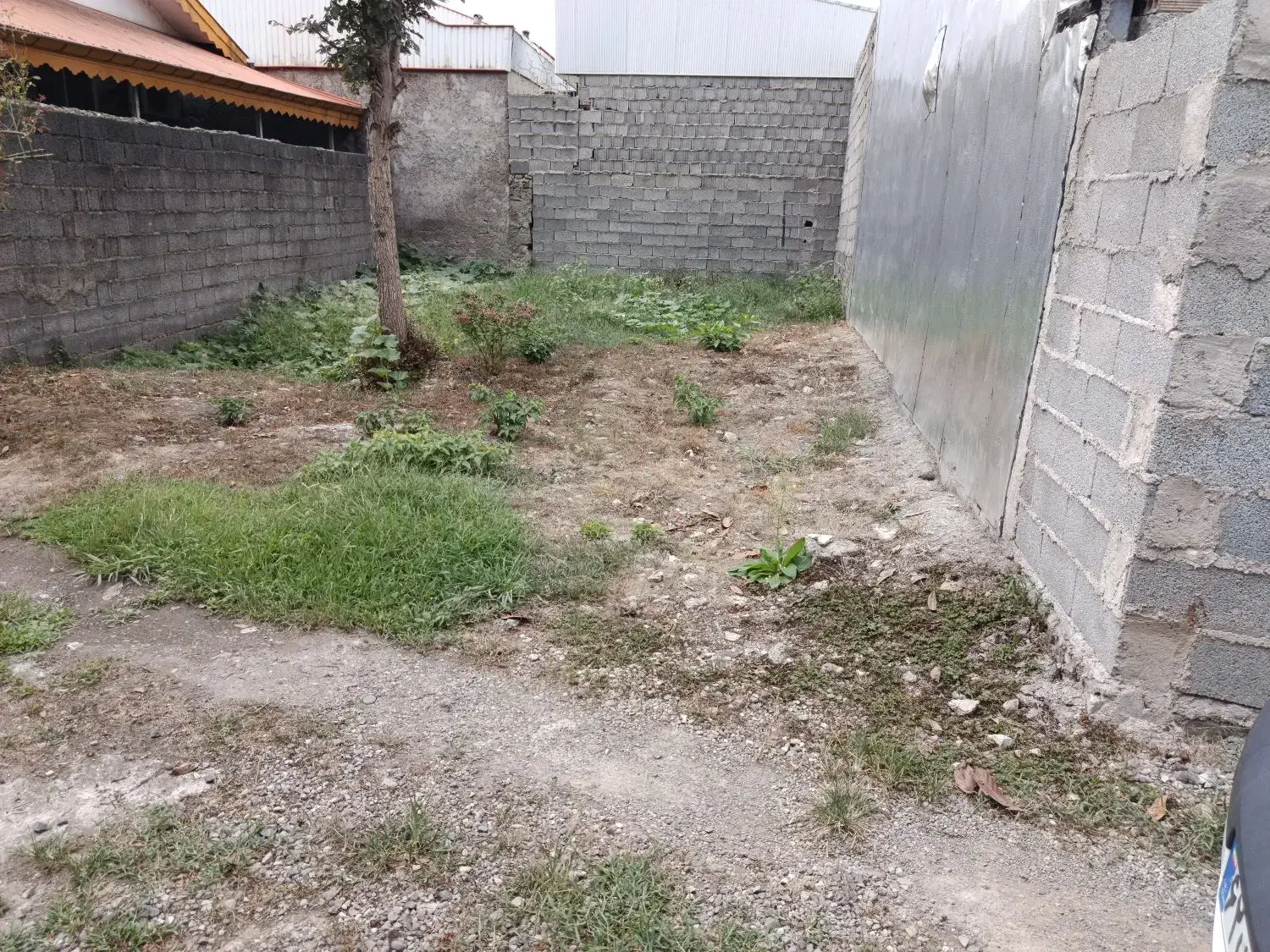 فروش زمین مسکونی|اجارهٔ خانه و ویلا|رشت, حومه رشت|دیوار