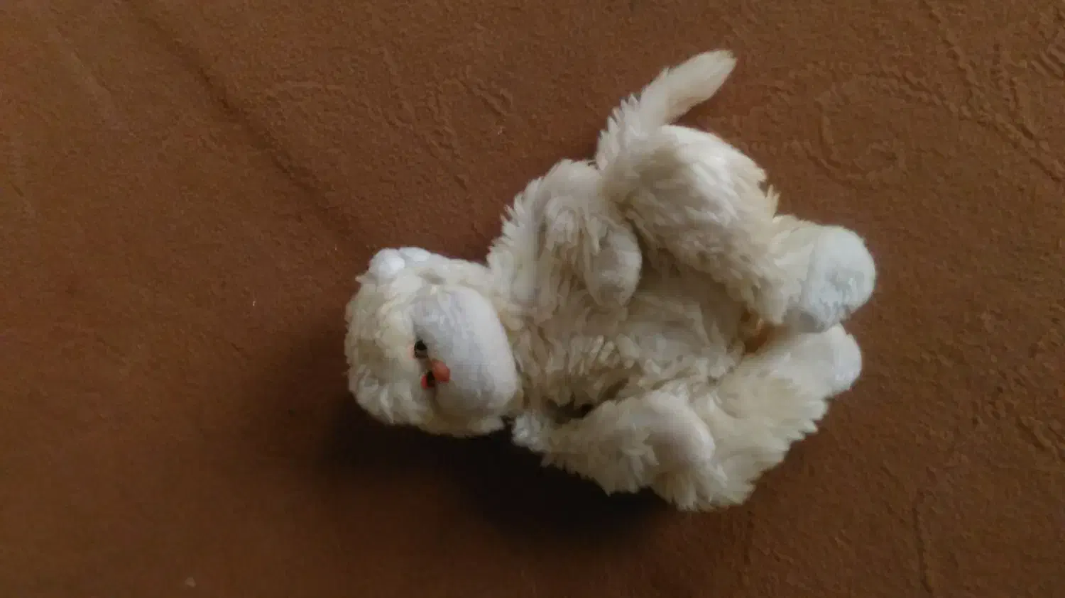 تعدادی عروسک|اسباب‌‌بازی|زنجان, |دیوار