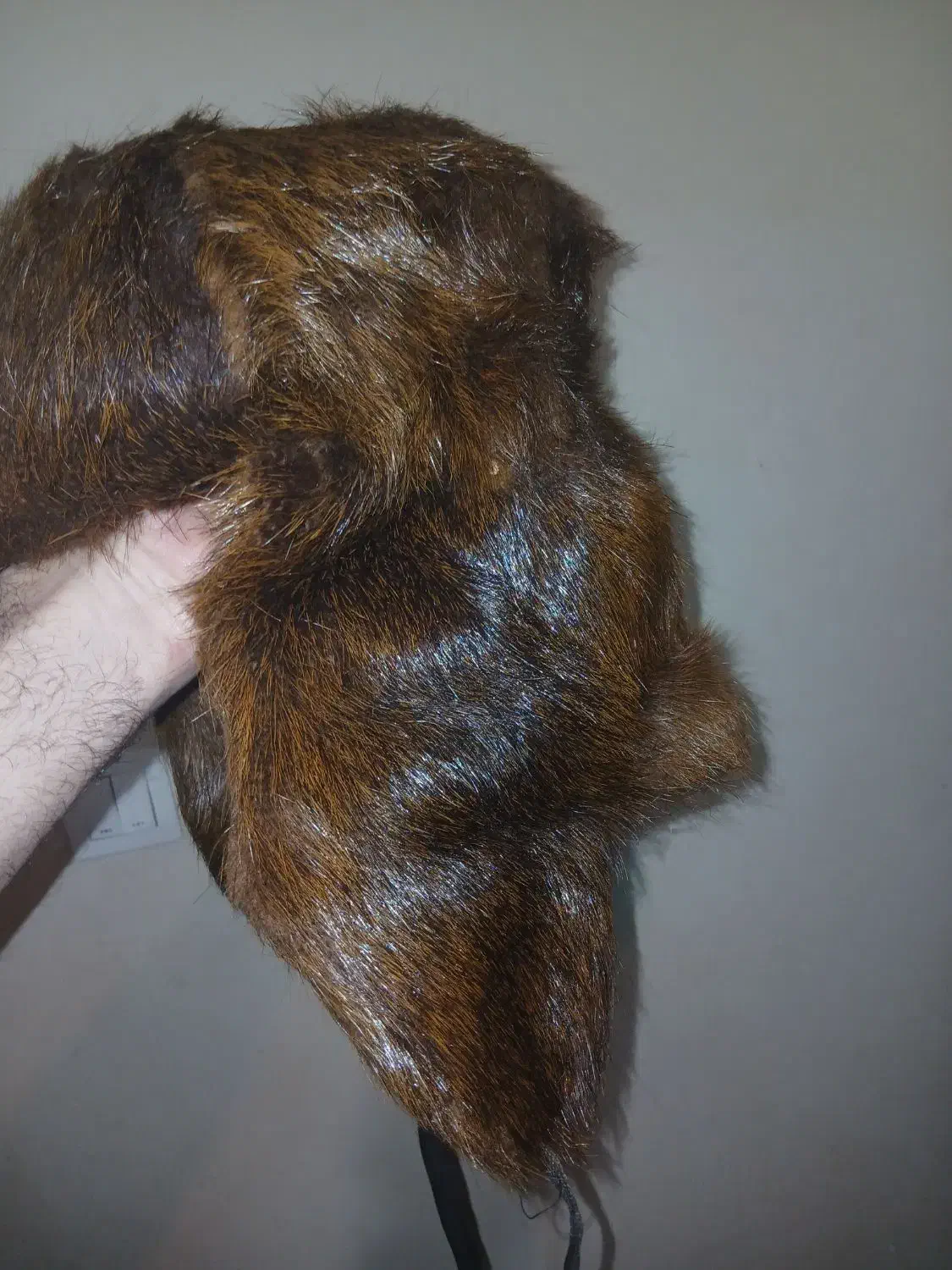 کلاه روسی|لباس|تهران, تسلیحات|دیوار