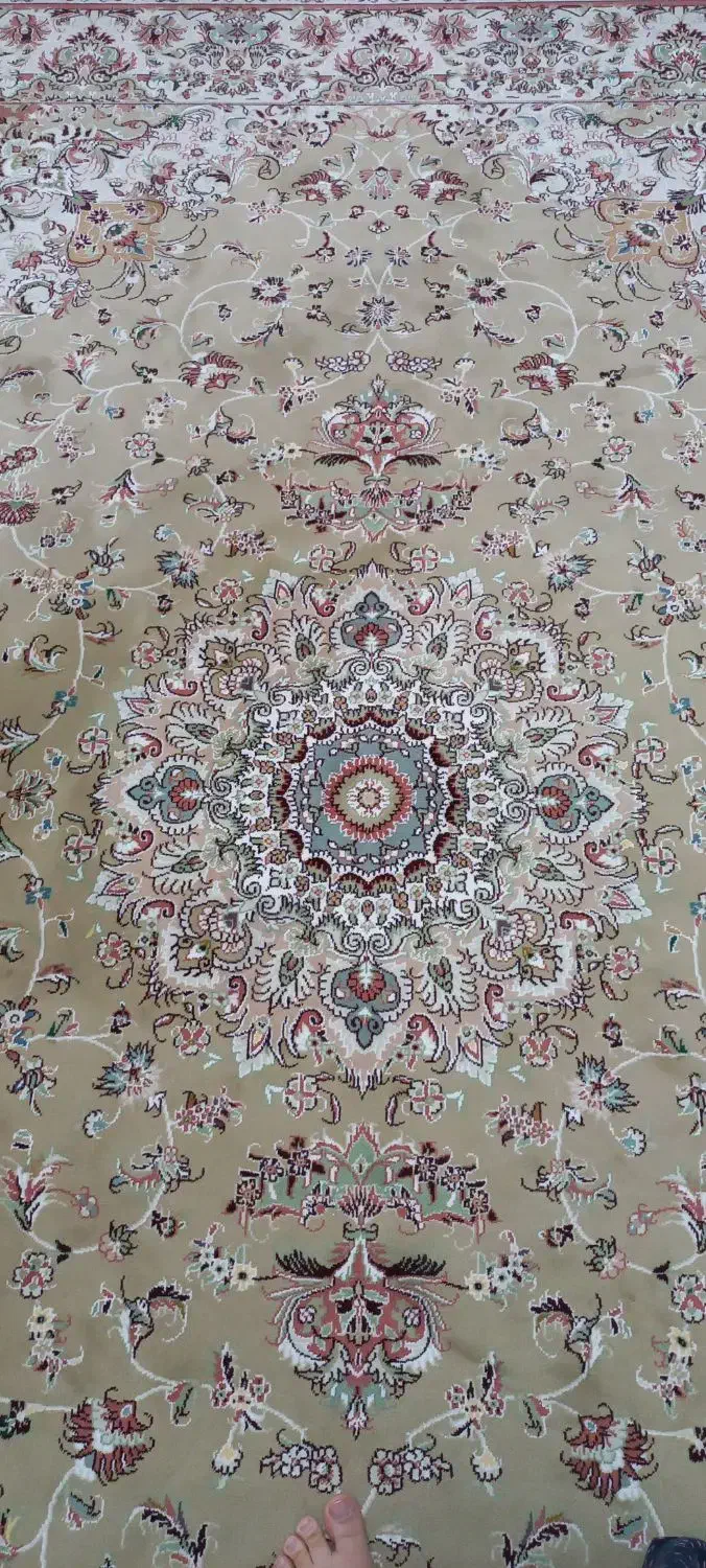فرش ۶متری سالم و تمیز|فرش|زنجان, |دیوار