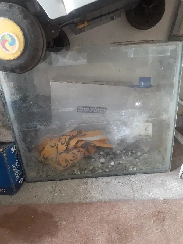 آکواریوم|ماهیگیری|نیشابور, هفده شهریور|دیوار