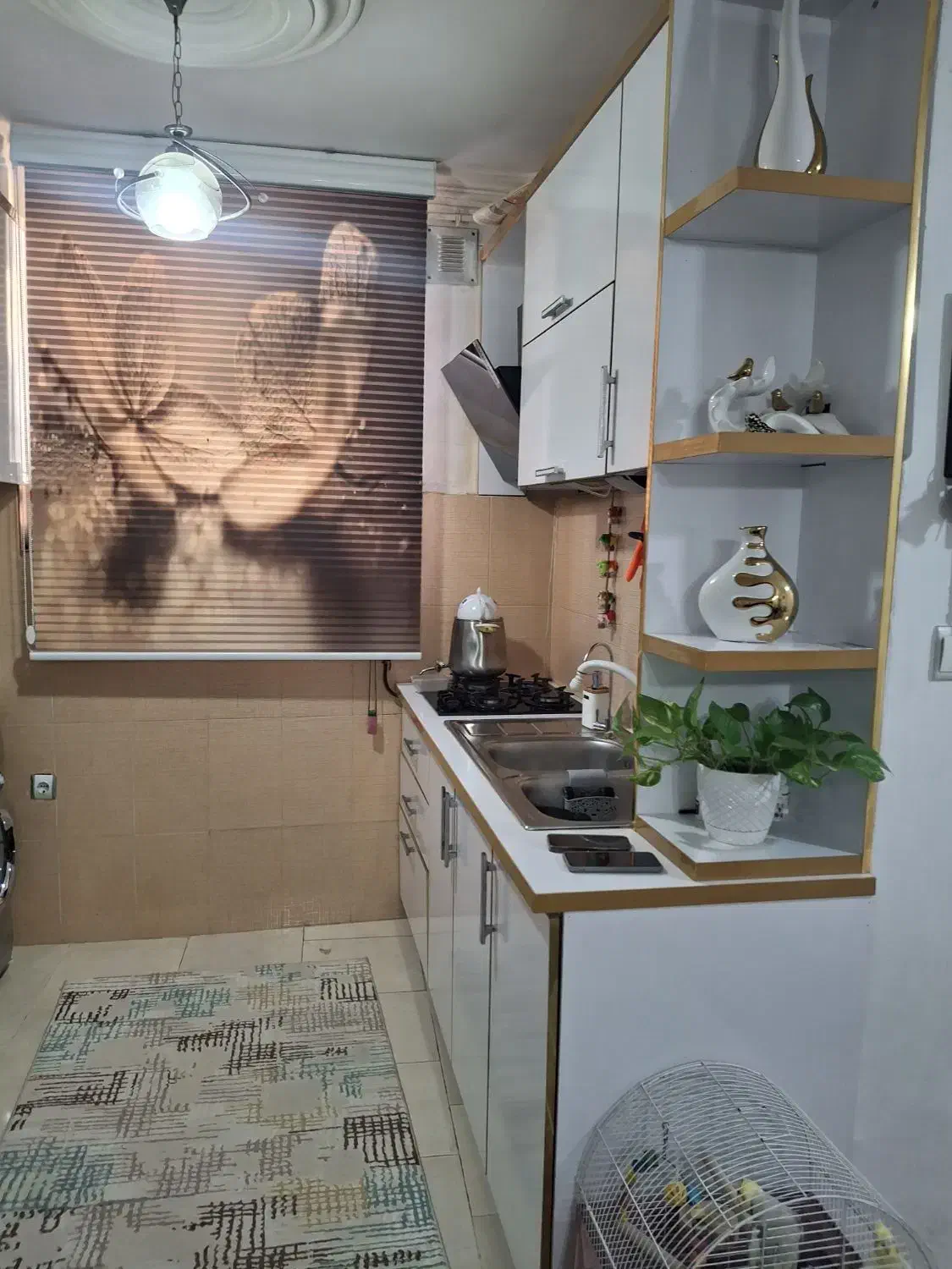 سوئیت|فروش آپارتمان|رشت, سلیمانداراب|دیوار