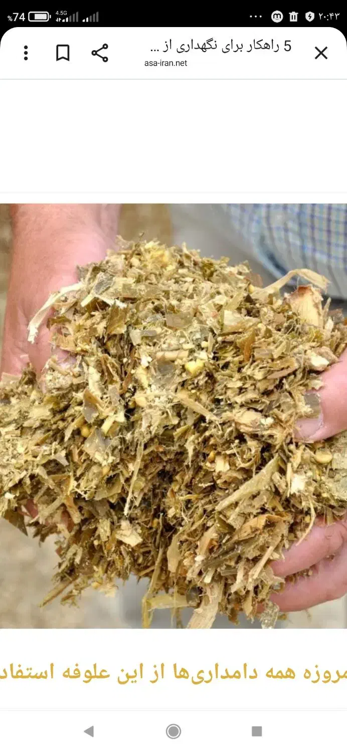 علوفه درجه 1تضمینی|لوازم جانبی حیوانات|روانسر, |دیوار