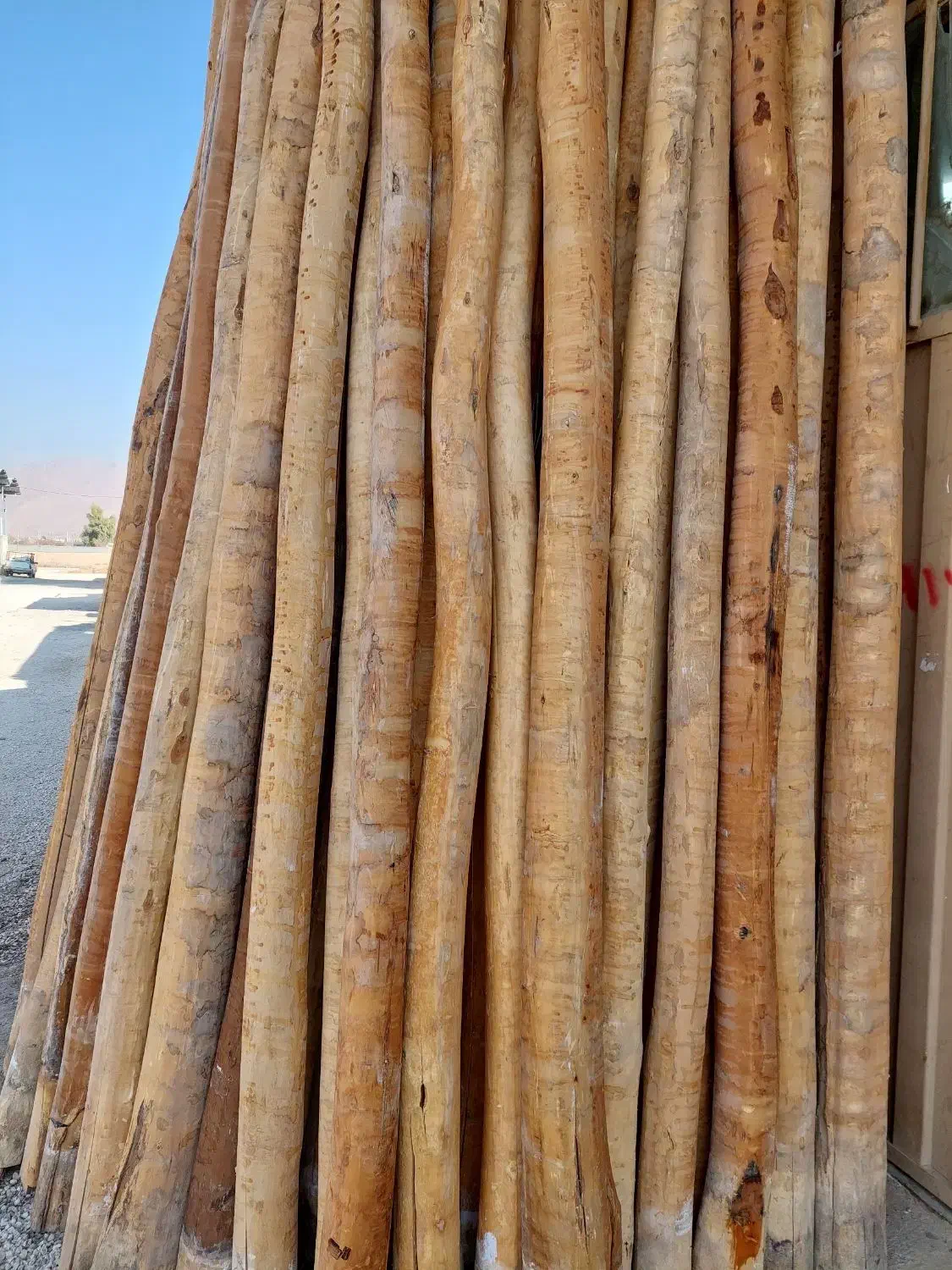 خریدار چوب سقفی|خدمات باغبانی و درختکاری|نجف‌آباد, صالح آباد|دیوار