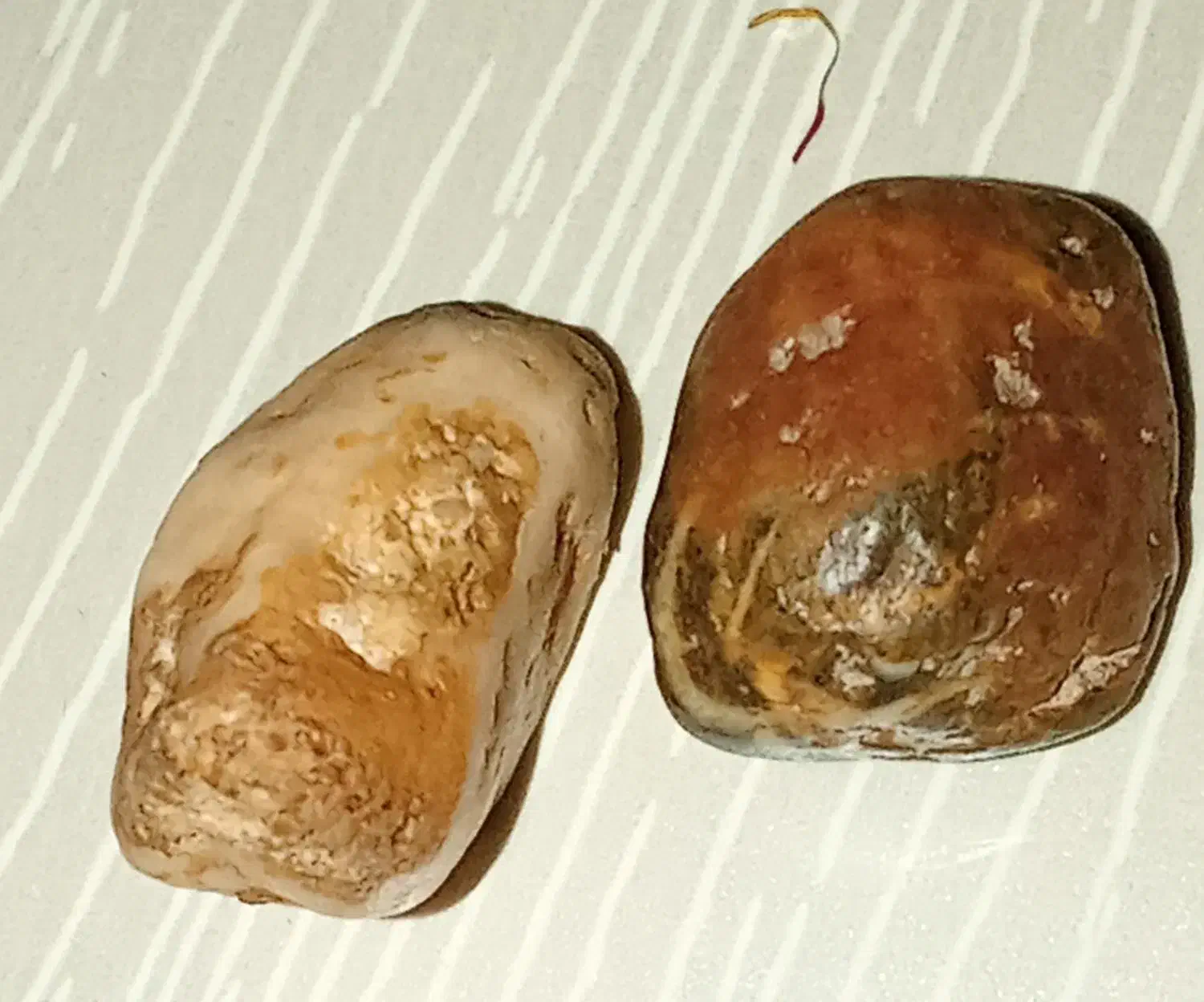 انواع سنگهای قیمتی وگبری باقیمت مناسب بفروش...|کلکسیون اشیاء عتیقه|یاسوج, |دیوار