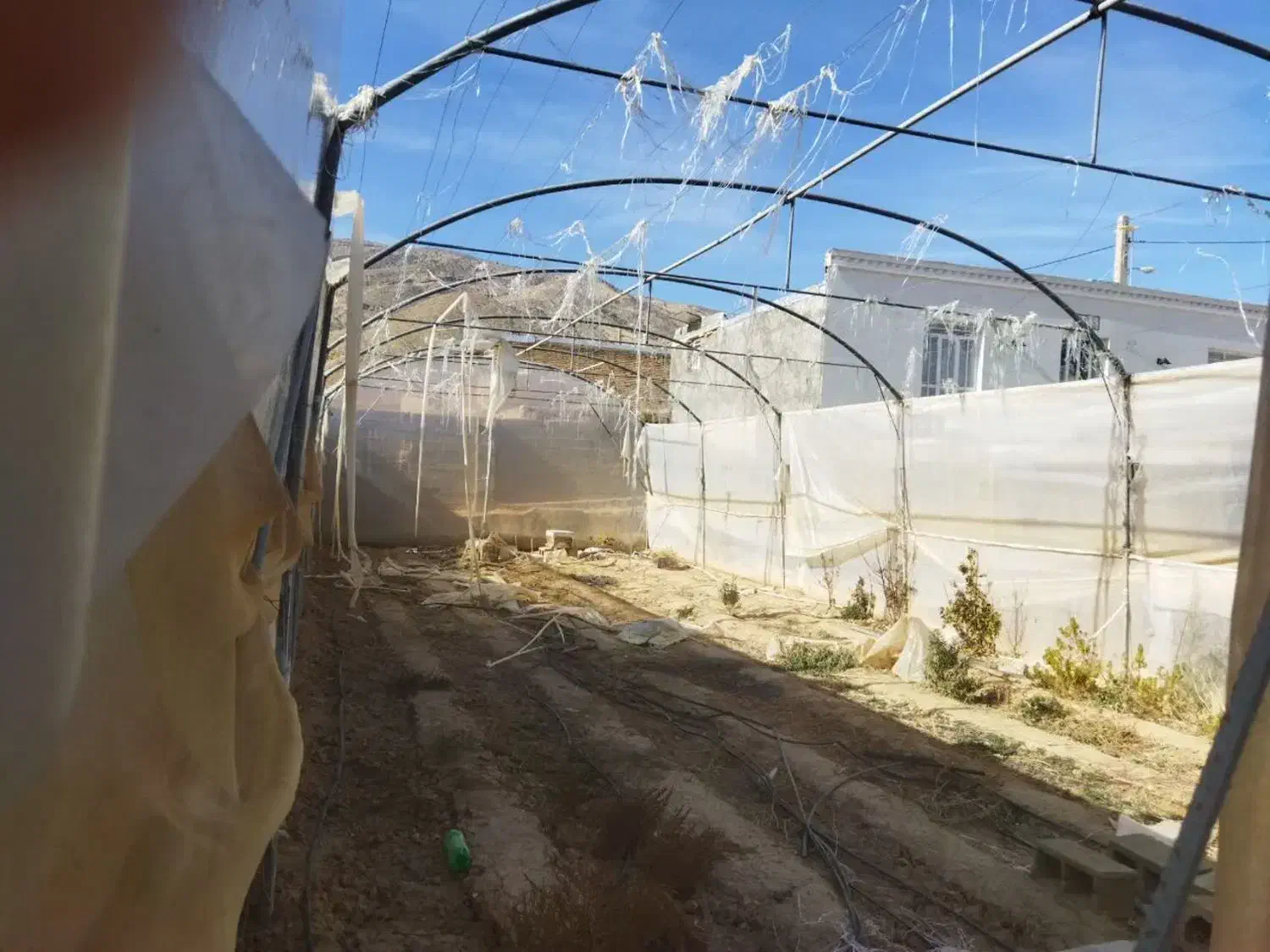 سازه گلخانه|ابزارآلات|رونیز, |دیوار