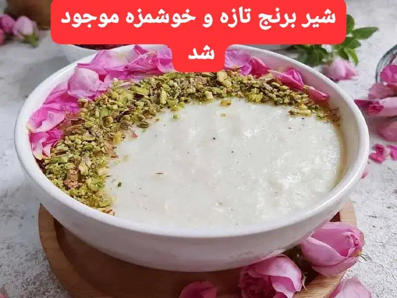 ماست گوسفندی شیر برنج سرشیر|خوردنی و آشامیدنی|بندر ماهشهر, |دیوار