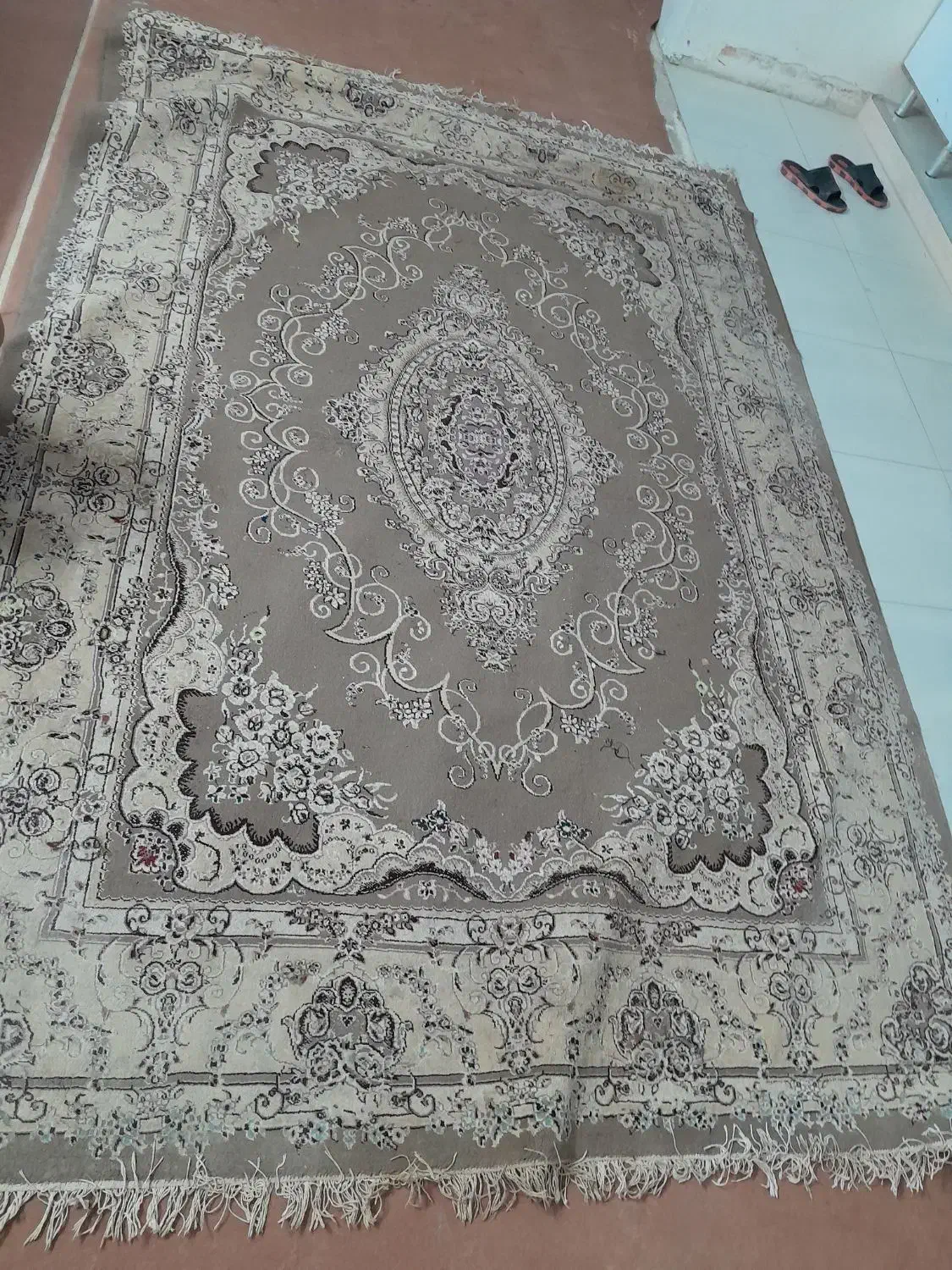 فرش ۶ متری|فرش|شیراز, کیان شهر|دیوار