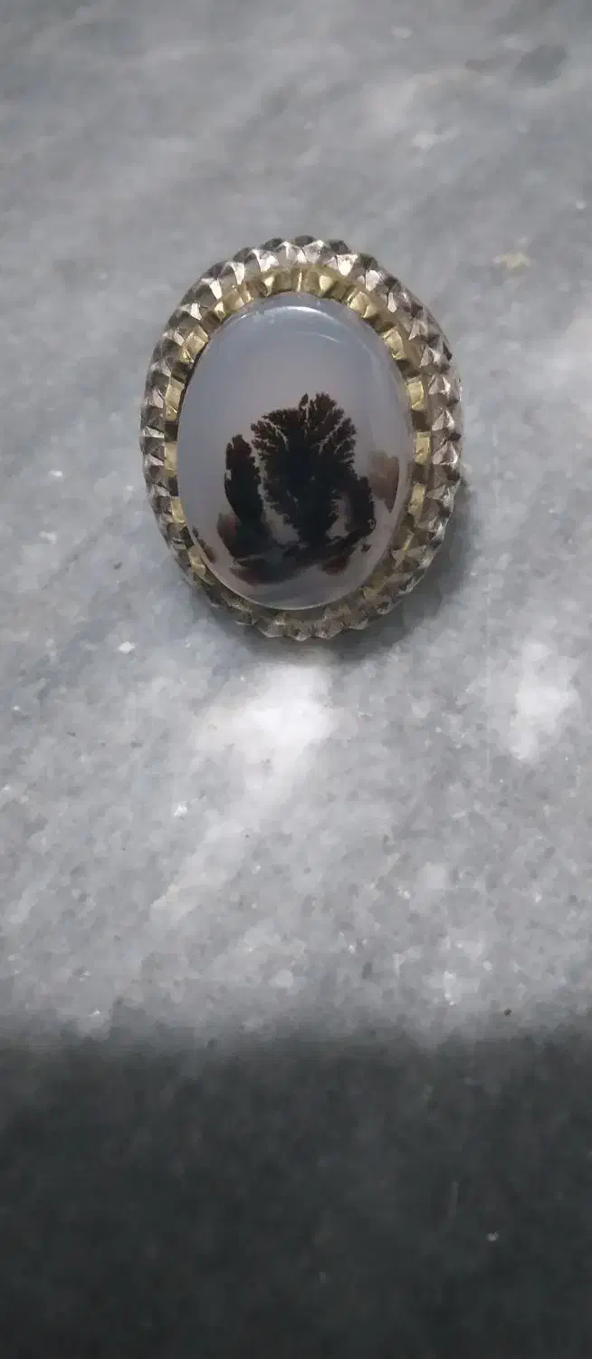 شجرقائنات‌زیبا|کلکسیون اشیاء عتیقه|قرچک, مهدیه|دیوار