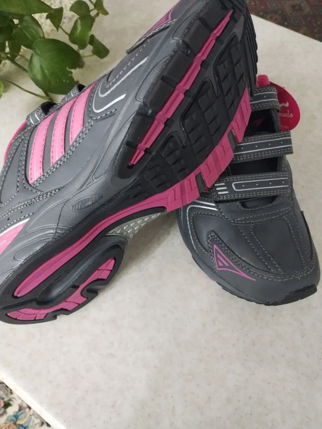 کفش خارجی|کیف، کفش، کمربند|بیرجند, |دیوار