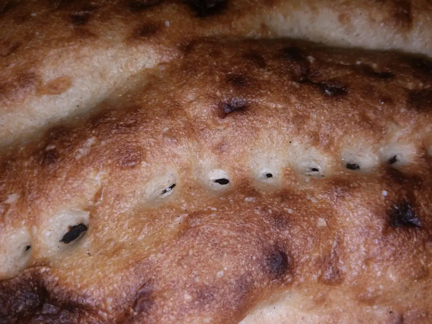 نان خشک|لوازم جانبی حیوانات|زابل, |دیوار