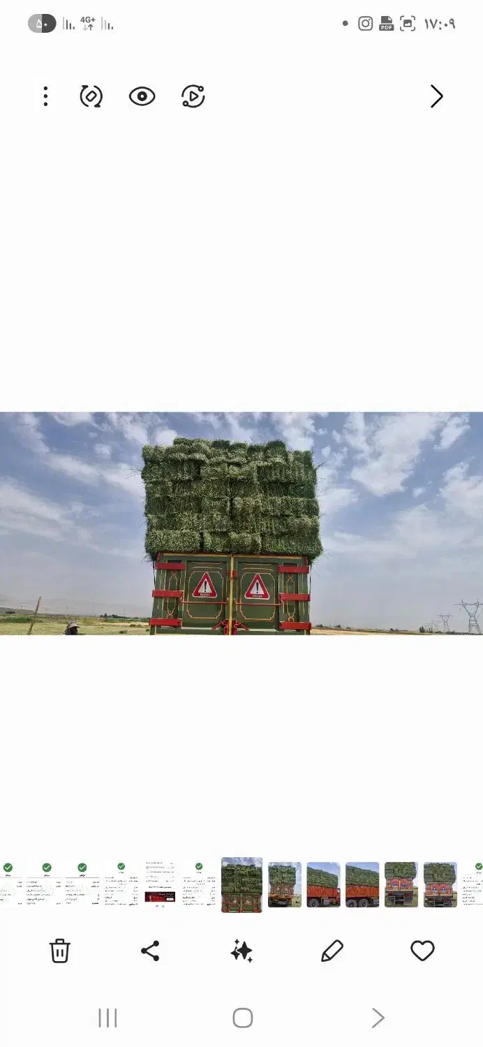 یونجه خشک انباری|حیوانات مزرعه|پیر سلیمان, |دیوار