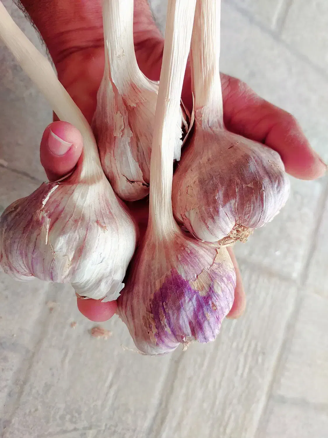 سیر محلی  ابدان|خوردنی و آشامیدنی|آبدان, |دیوار