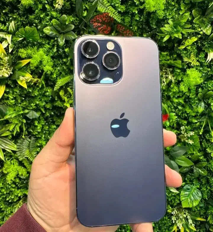 اپل iphone 14 Pro Max با حافظهٔ ۲۵۶ گیگابایت|موبایل|رشت, چمارسرا|دیوار