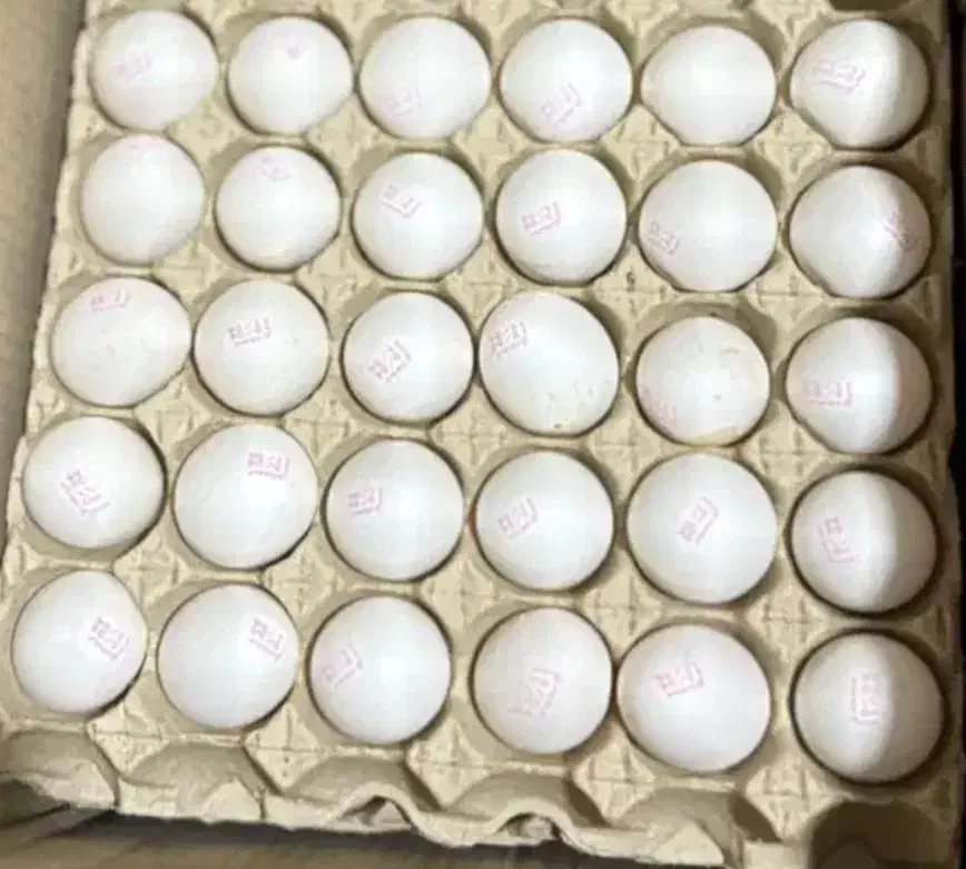 تخم مرغ|خوردنی و آشامیدنی|زرندیه, |دیوار