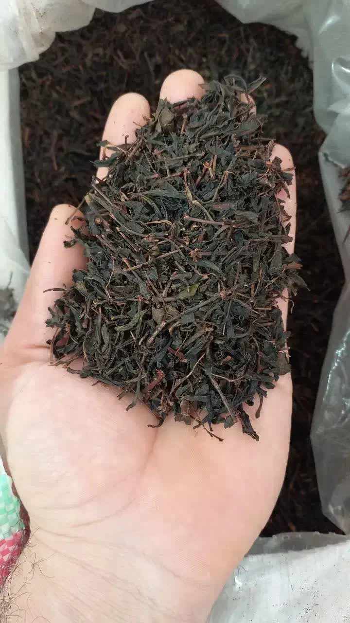 چای چوب درجه یک|عمده‌فروشی|گرگان, |دیوار