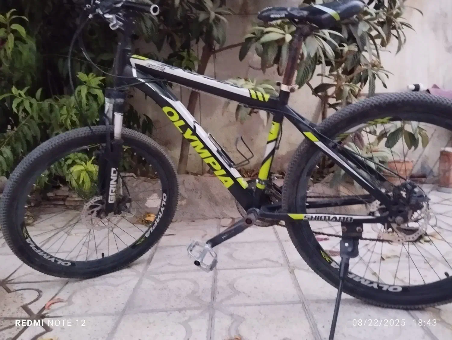 دوچرخه المپیا|دوچرخه، اسکیت، اسکوتر|شیراز, دباغ خانه|دیوار