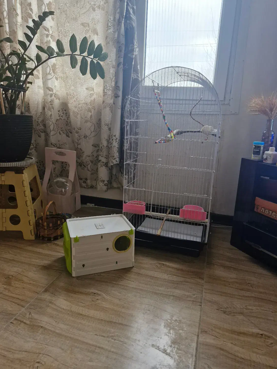 قفس یک متری و لانه و لوازم|لوازم جانبی حیوانات|چاف و چمخاله, |دیوار