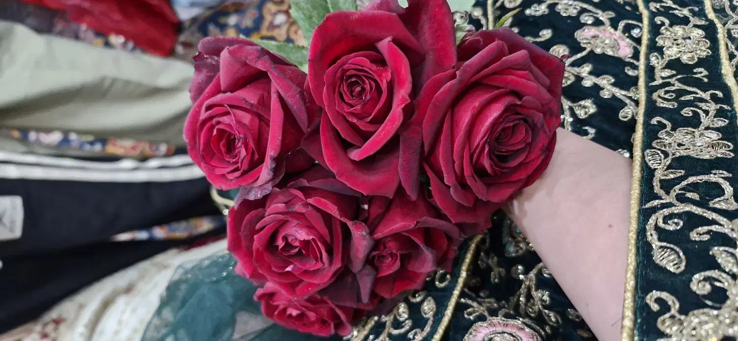 گمشده زنجیر و پلاک|اشیا|جهرم, |دیوار