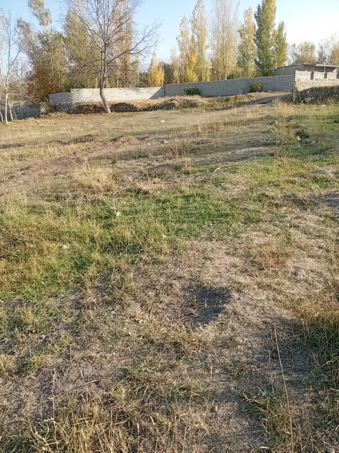 زمین مسکونی به متراژ۲۰۰مترواقع درشهرآلنی|فروش زمین و ملک کلنگی|مشگین شهر, |دیوار