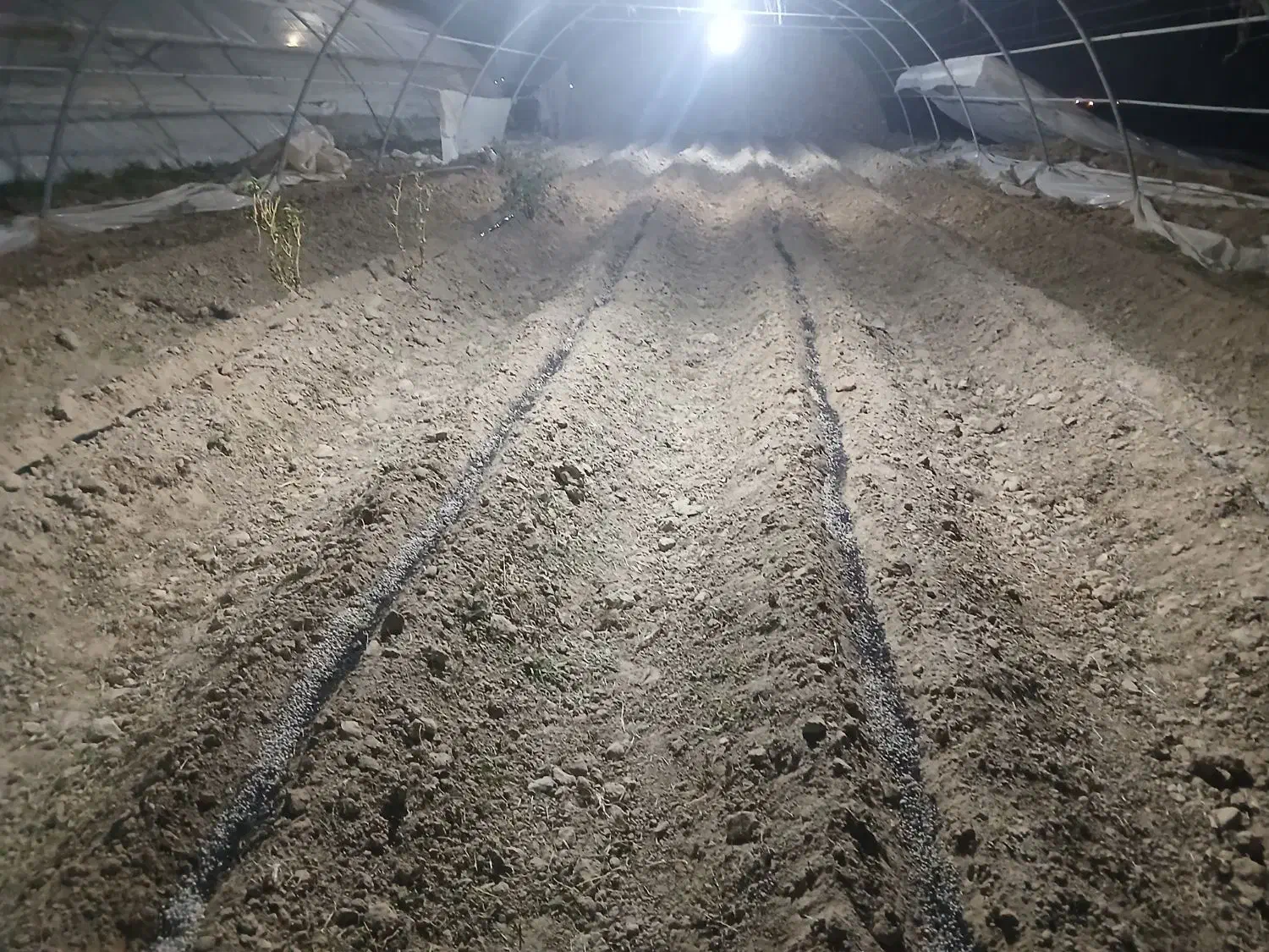 فروش زمین کشاورزی گل آباد|فروش زمین و ملک کلنگی|کرباسک, |دیوار