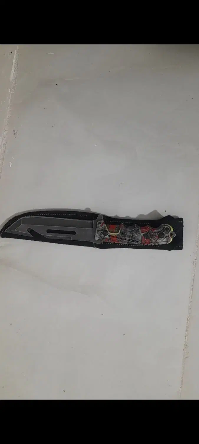 کبوتر معاوضه|کلکسیون و سرگرمی|گنبد کاووس, |دیوار