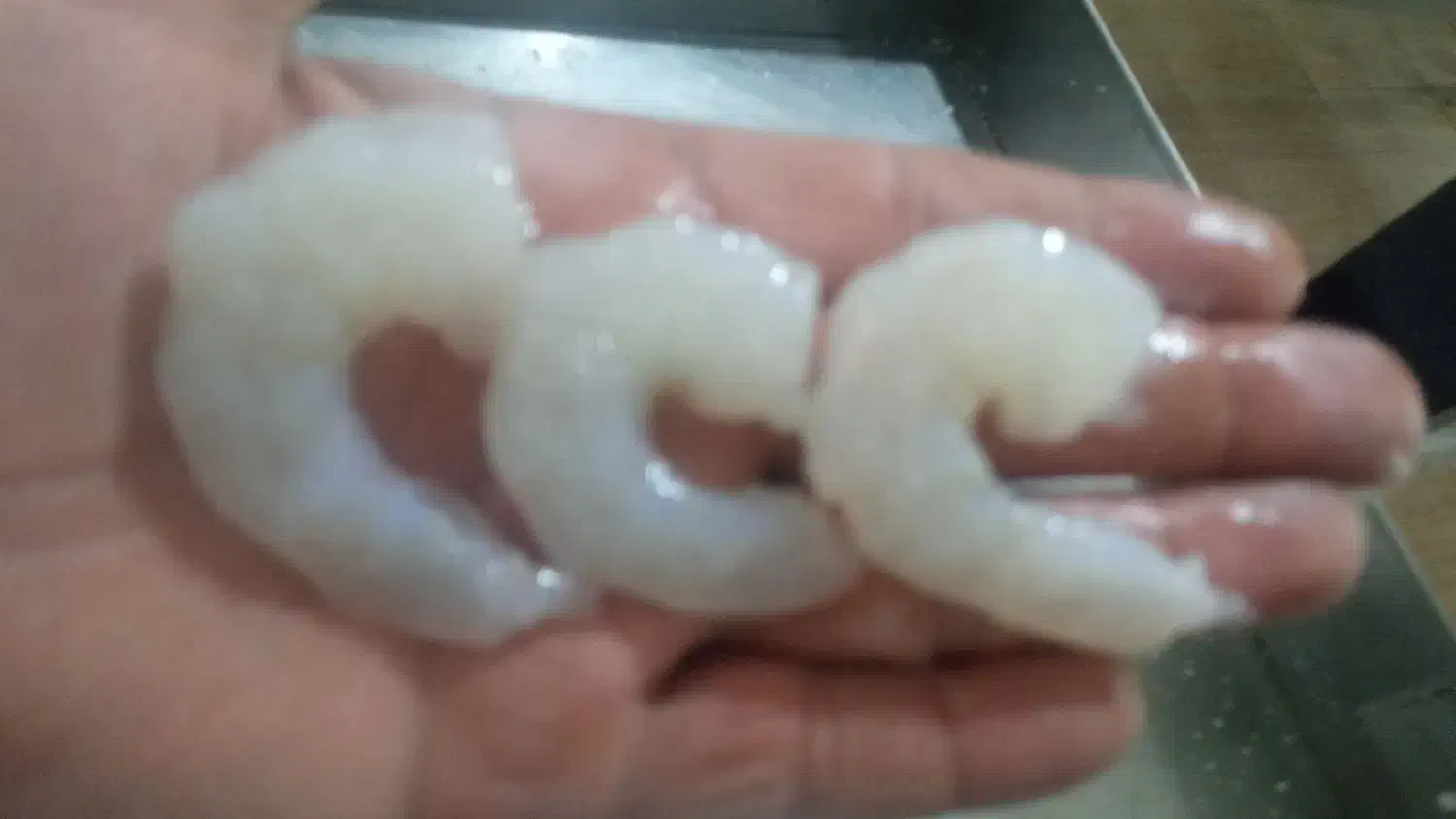 میگو پاک شده دریایی رسید|خوردنی و آشامیدنی|فسا, |دیوار