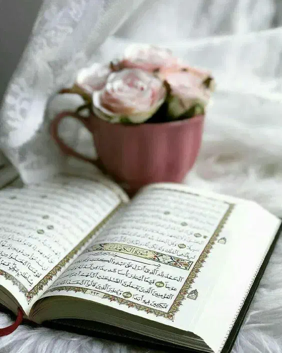 قران|کتاب و مجله مذهبی|تهران, پاسداران|دیوار