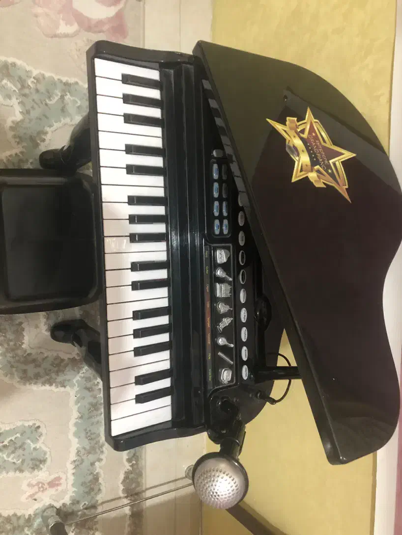 پیانو|پیانو، کیبورد، آکاردئون|کرج, مهرویلا شمالی|دیوار