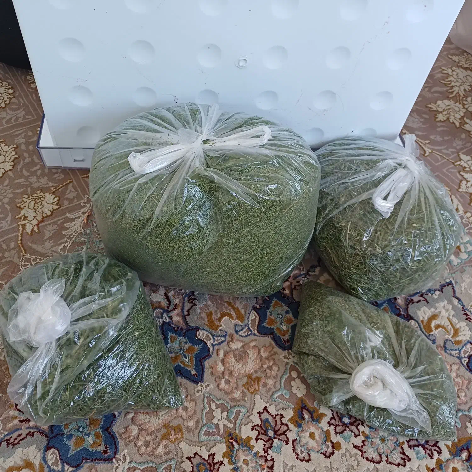 سبزی خشک|خوردنی و آشامیدنی|گلبهار, شهر جدید گلبهار|دیوار