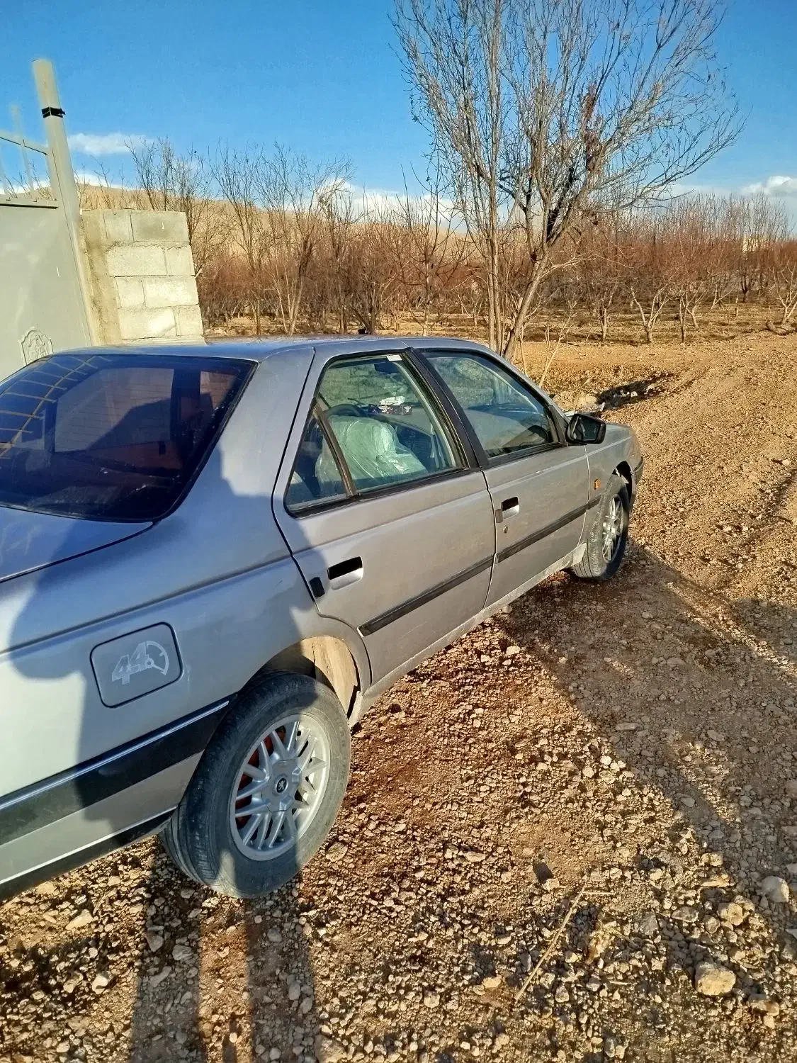 پژو 405|خودرو کلاسیک|فلاورجان, |دیوار