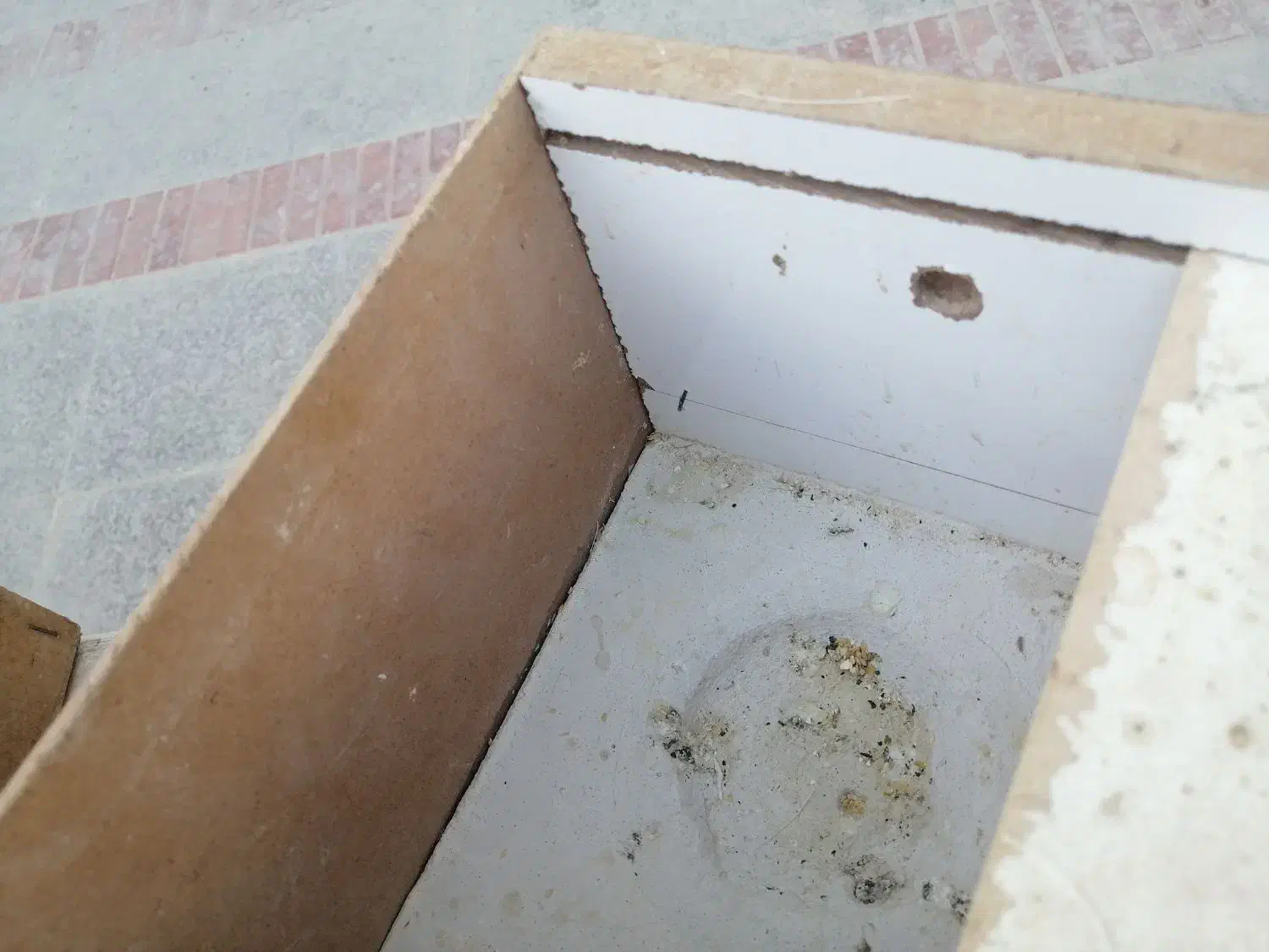 لانه طوطی برزیلی، گرینچینگ، لونه کوتوله، فنچ و|لوازم جانبی حیوانات|کوار, |دیوار