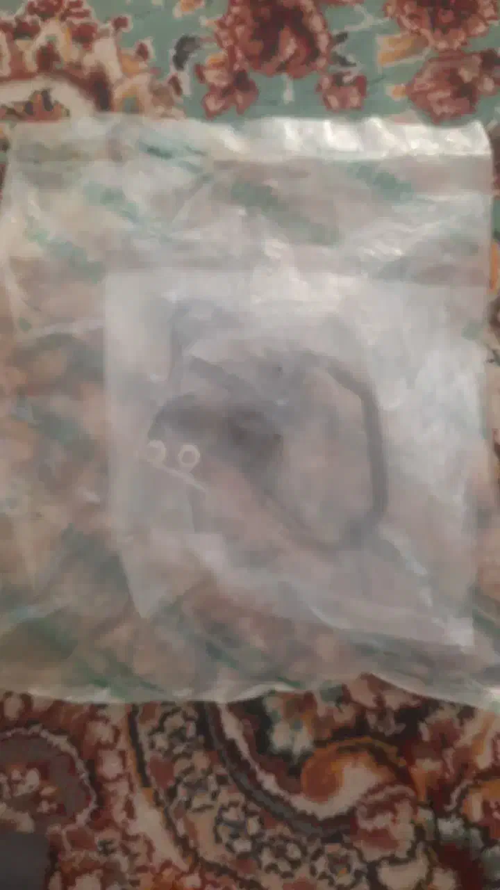 لوازم بیل وکامیون وبولدوزر نو واصلی واستوک|خودرو سنگین|خلیل آباد, |دیوار