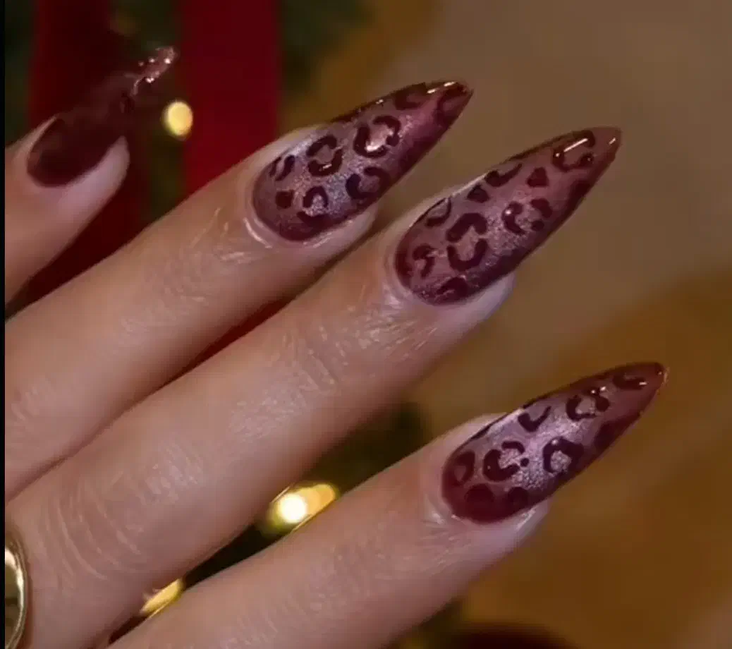 کاشت اولیه فقط ۲۹۵ تا آخر این ماه|خدمات آرایشگری و زیبایی|اردبیل, |دیوار