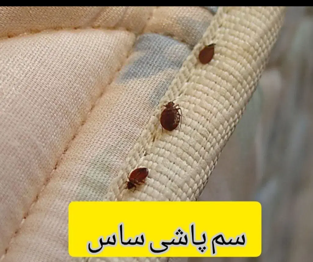 سمپاشی ساس.سوسک سم پاشی موش کنه گال و تمام حشرات|خدمات نظافت|مشهد, ولیعصر (شهرک غرب)|دیوار