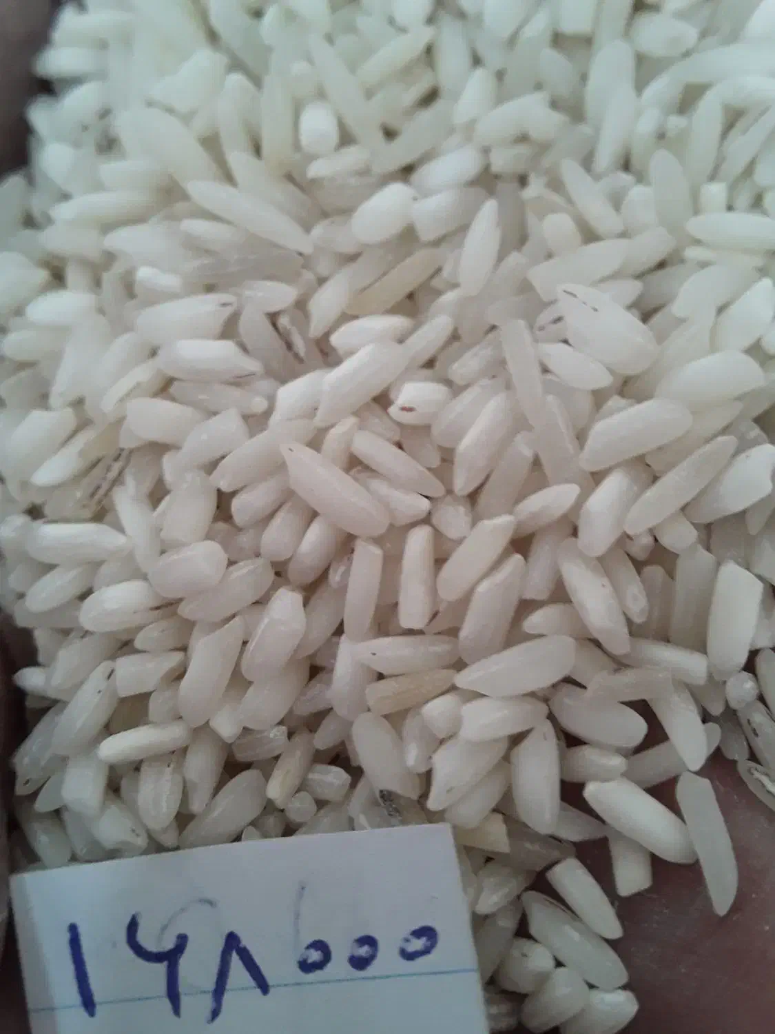 برنج هاشمی|خوردنی و آشامیدنی|زنجان, |دیوار