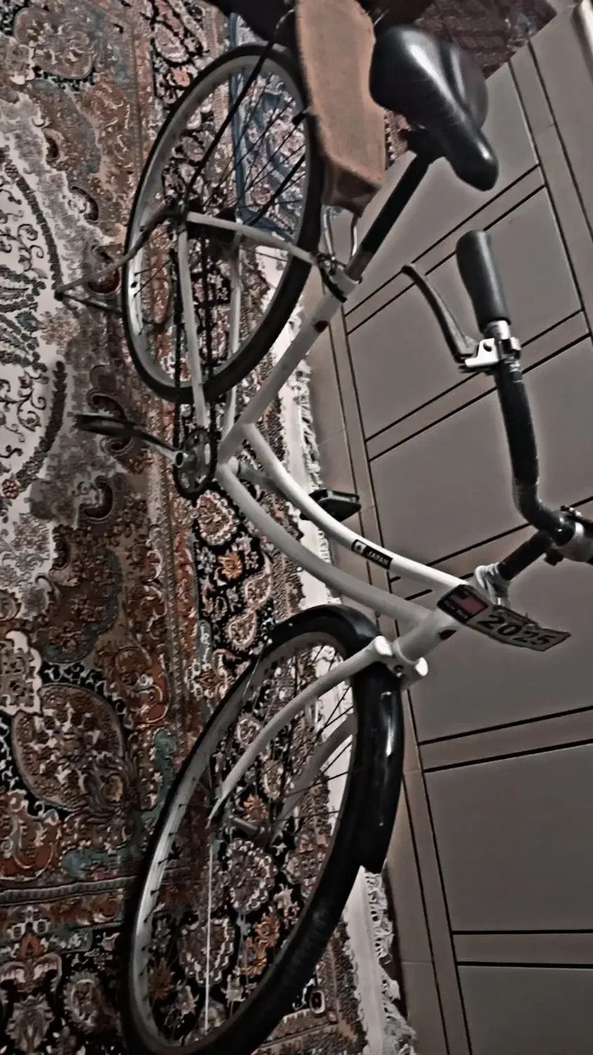 دوچرخه درجه یک|دوچرخه، اسکیت، اسکوتر|سوسنگرد, |دیوار