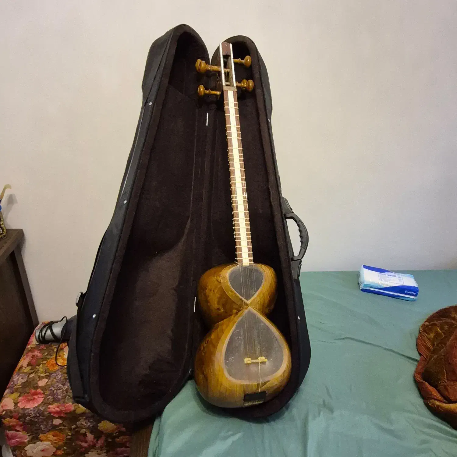 تار هاشمیان|سازهای سنتی|تهران, هروی|دیوار